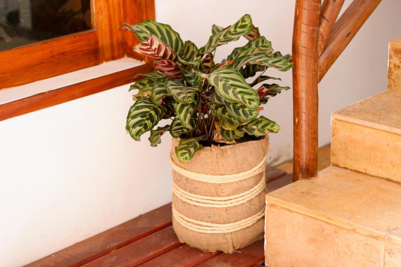 Apartamento Casa Mirella Jeri